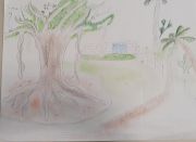 disegno dei ragazzi